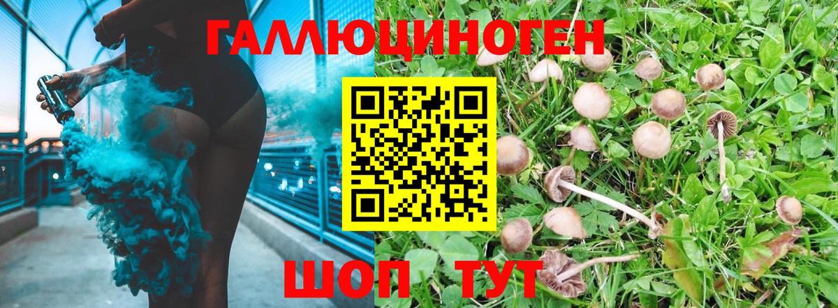 Оренбург  сколько стоит  Вход с VPN  Псилоцибиновые грибы прущие грибы 