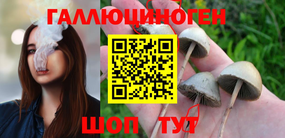 Галлюциногенные грибы мицелий Оренбург